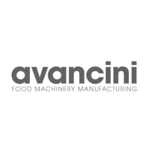 logo-avancini